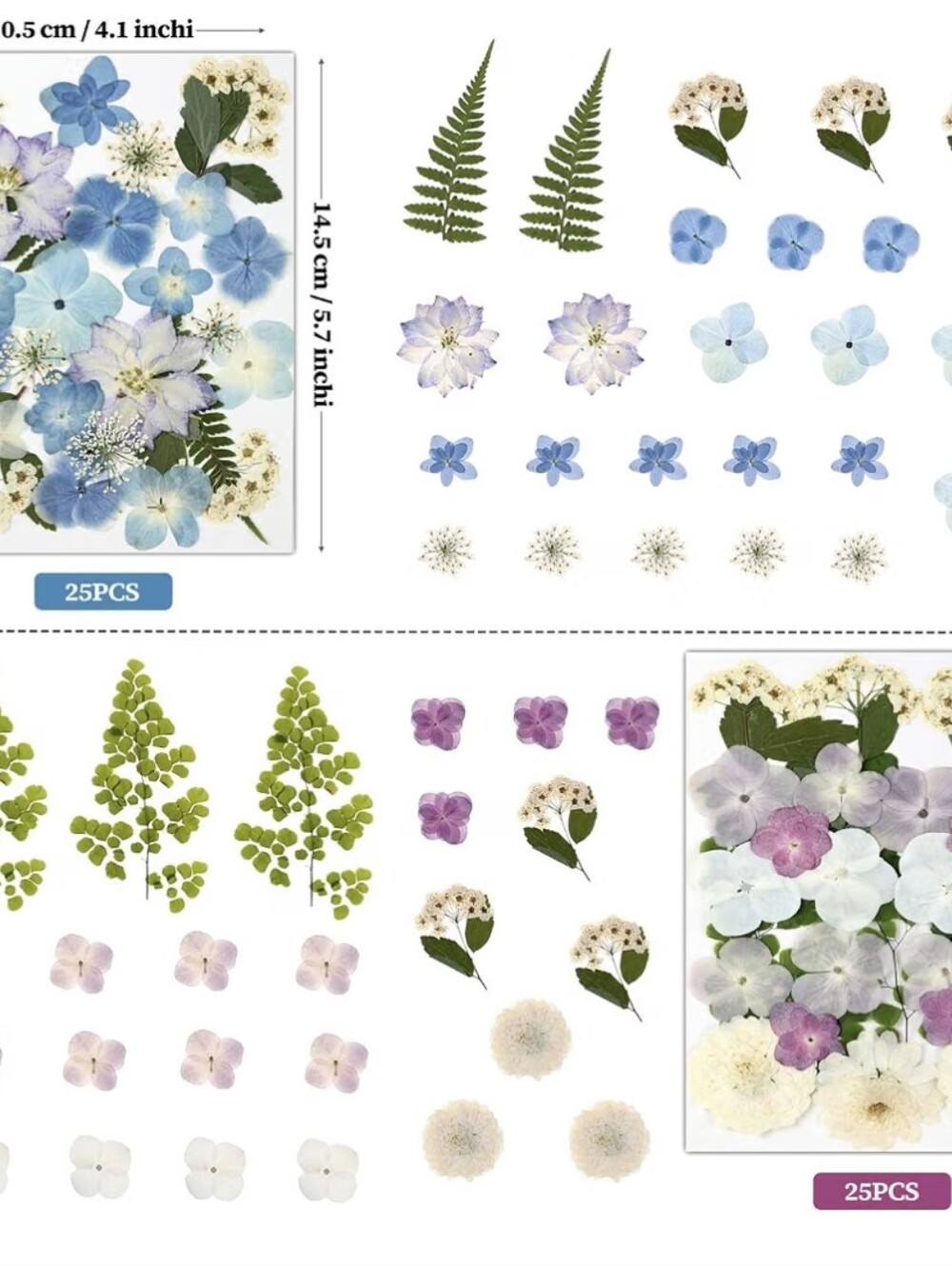 Scrapbook Bundle - Picture 11 of 16